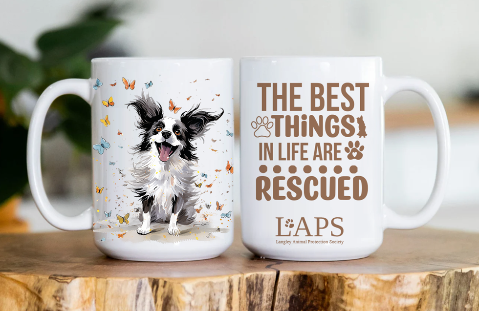 rescue-dog-mug
