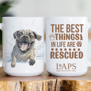rescue-dog-mug
