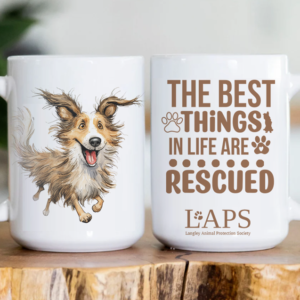 rescue-dog-mug